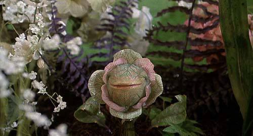 Audrey-II-and-Little-singing-plantlets-little-shop-of-horrors-6641542-500-270
